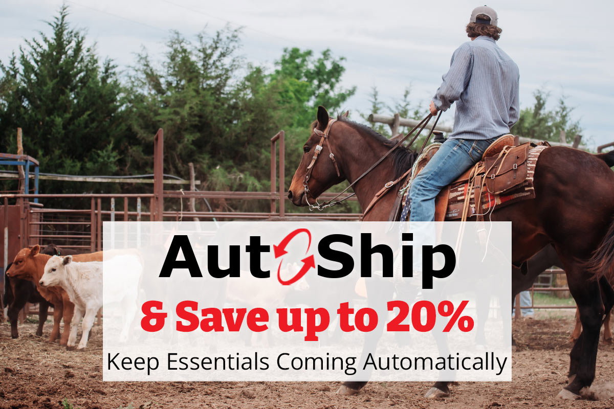 Auto-Ship & Save up to 20% - Keep Essentials Coming Automatically