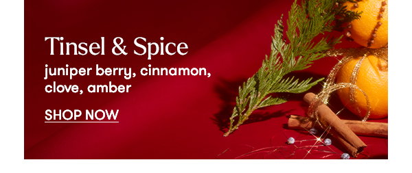 Tinsel & Spice