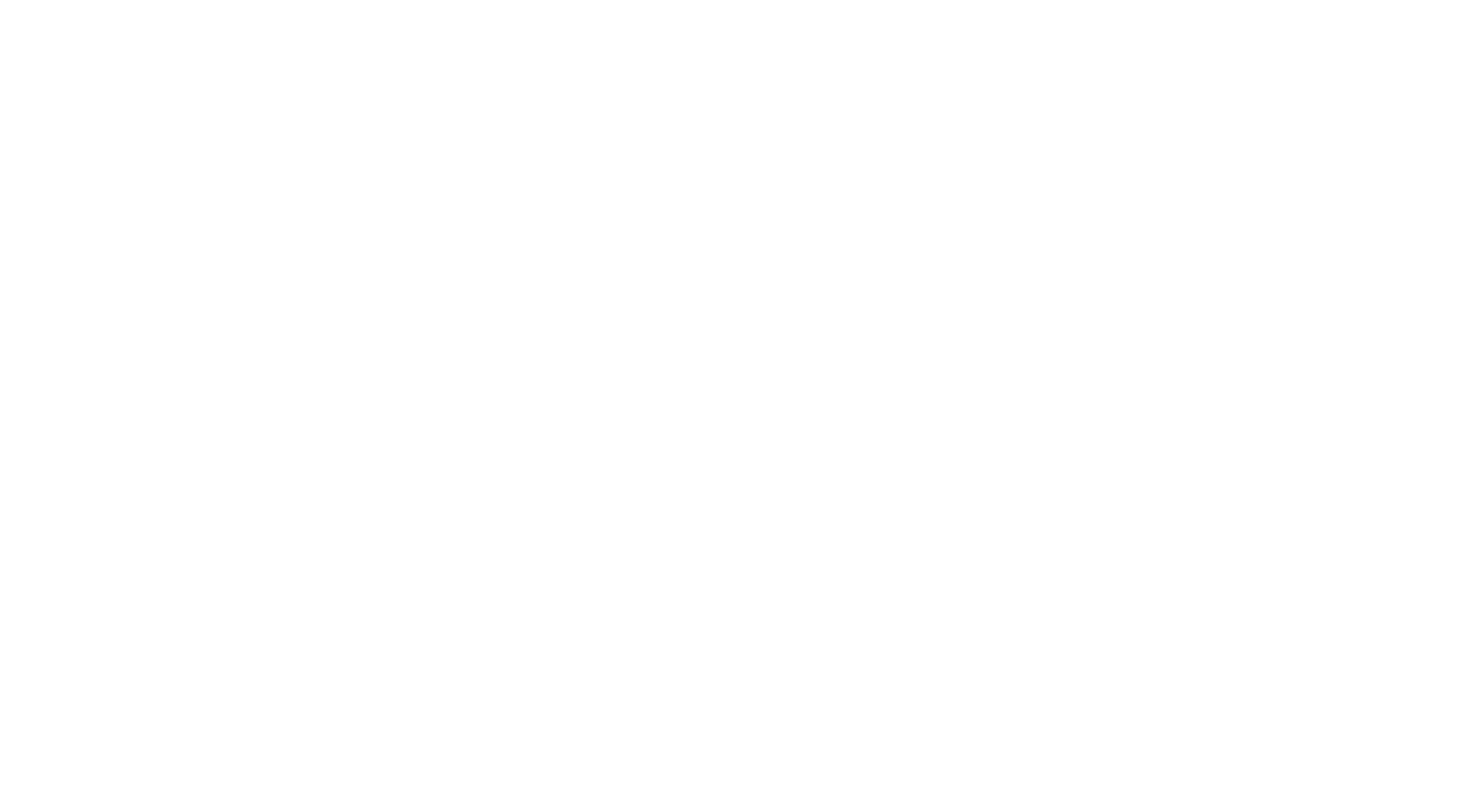Made in Italy Ballet Flats