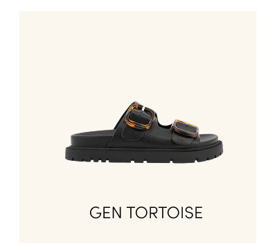 Shop Gen Tortoise