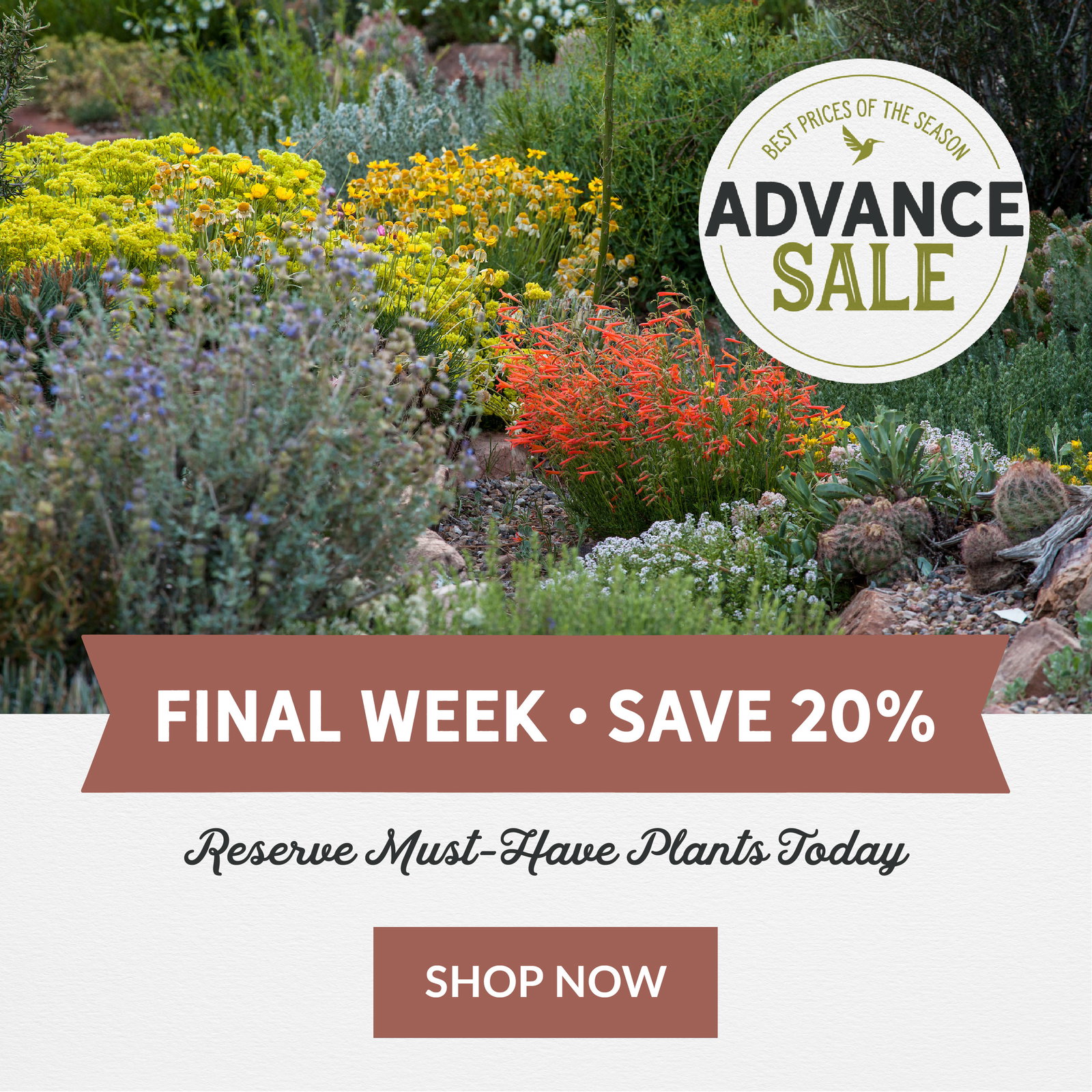 Advance Sale Final Week Save 20%