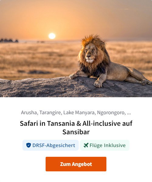 Safari in Tansania &amp; All-inclusive auf Sansibar
