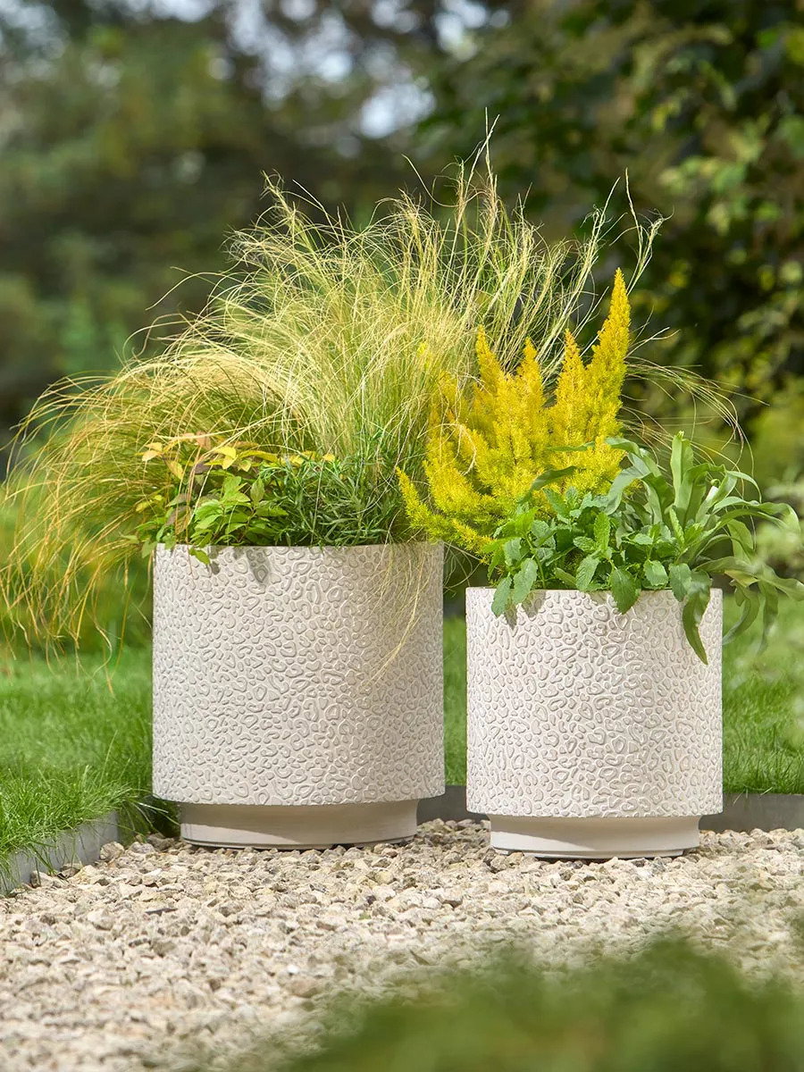 Two Leopard Planters - Clay