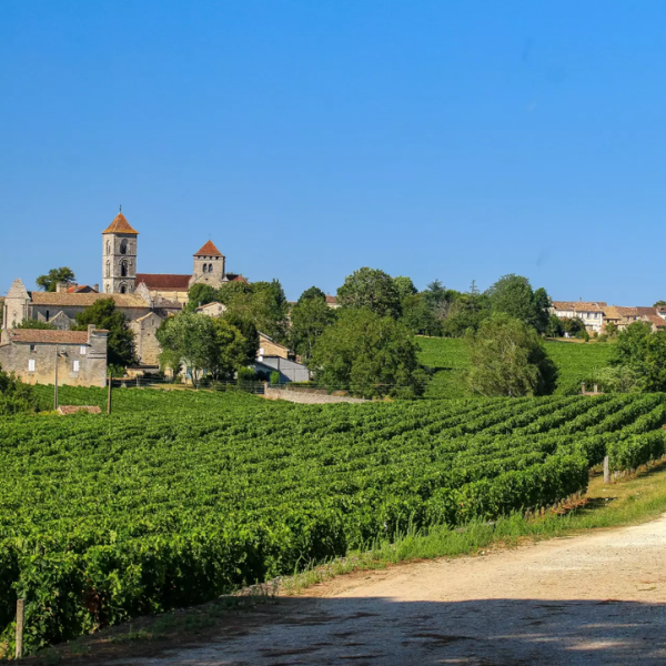 7 Best Hotels With Vineyards in France