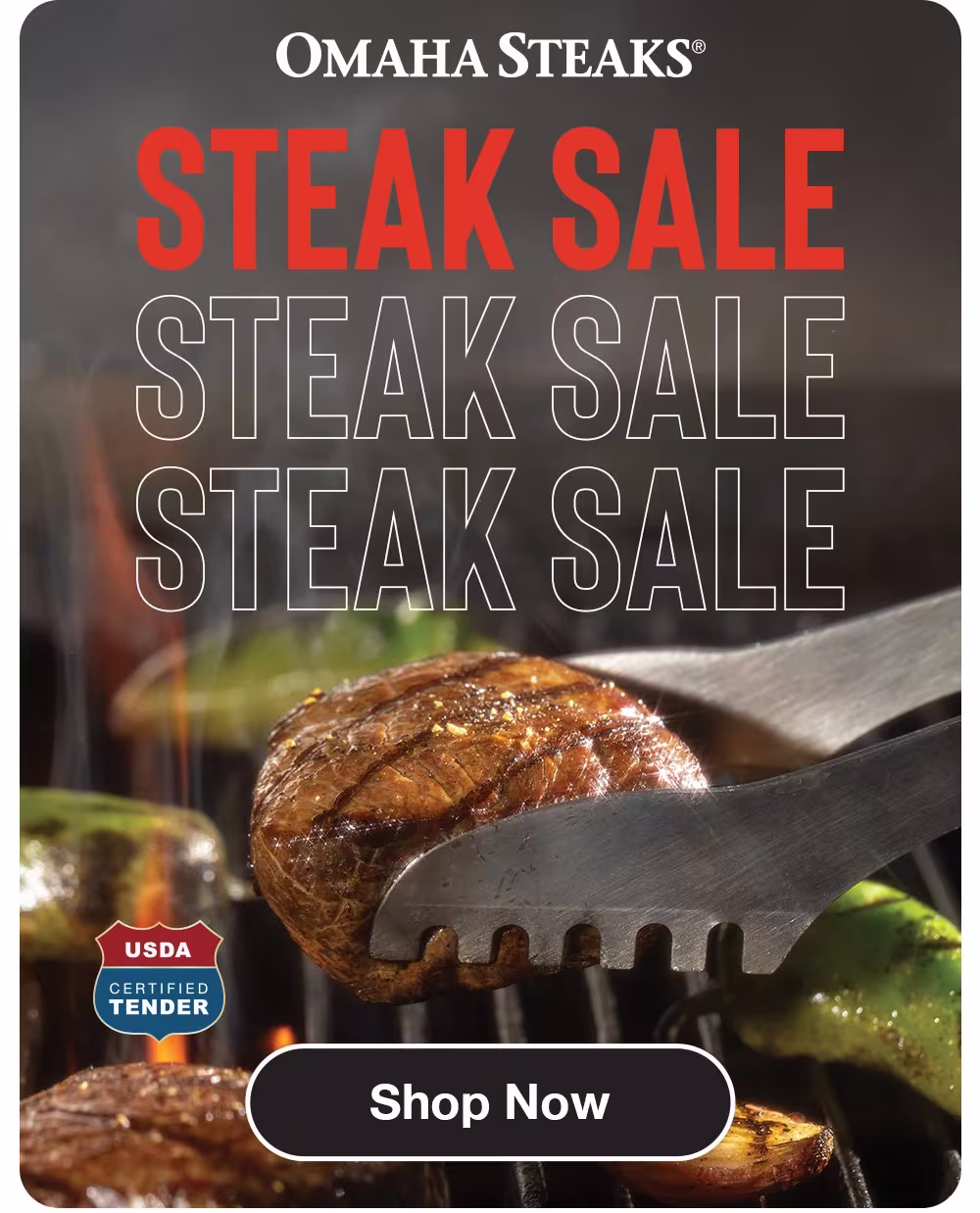 OMAHA STEAKS

STEAK SALE 
STEAK SALE 
STEAK SALE

USDA
CERTIFIED TENDER

Shop Now

