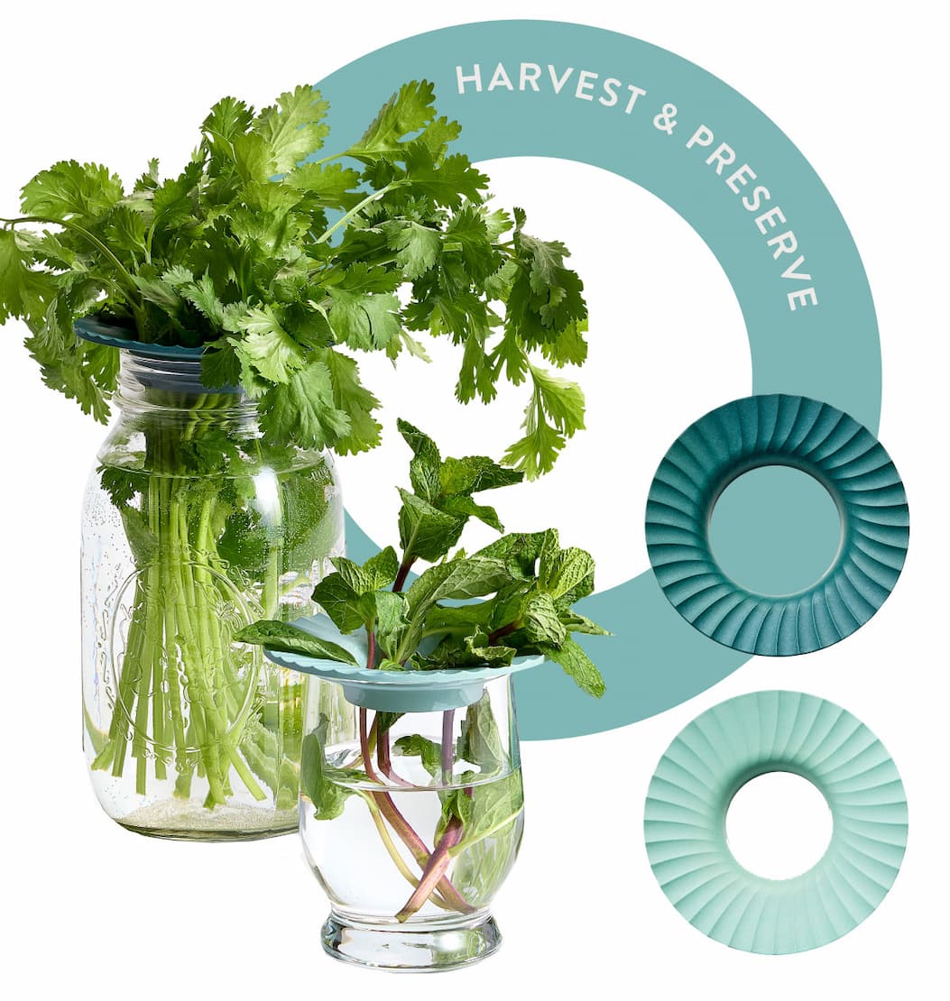 Harvest & Preserve: SHOP PRODUCE KEEPERS >