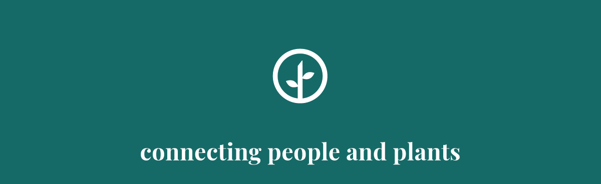Visit Our Site