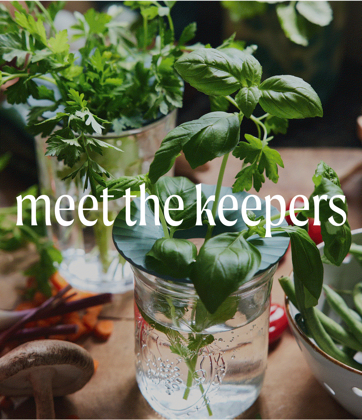 Meet The Keepers: These are the two multi-tasking tools you didn’t know you needed. Our Garden Keeper collection is made from BPA-free, sustainable materials and designed to fit most drinking glasses or vases so they’re easy to use. Perfect for summer! SHOP THE COLLECTION >