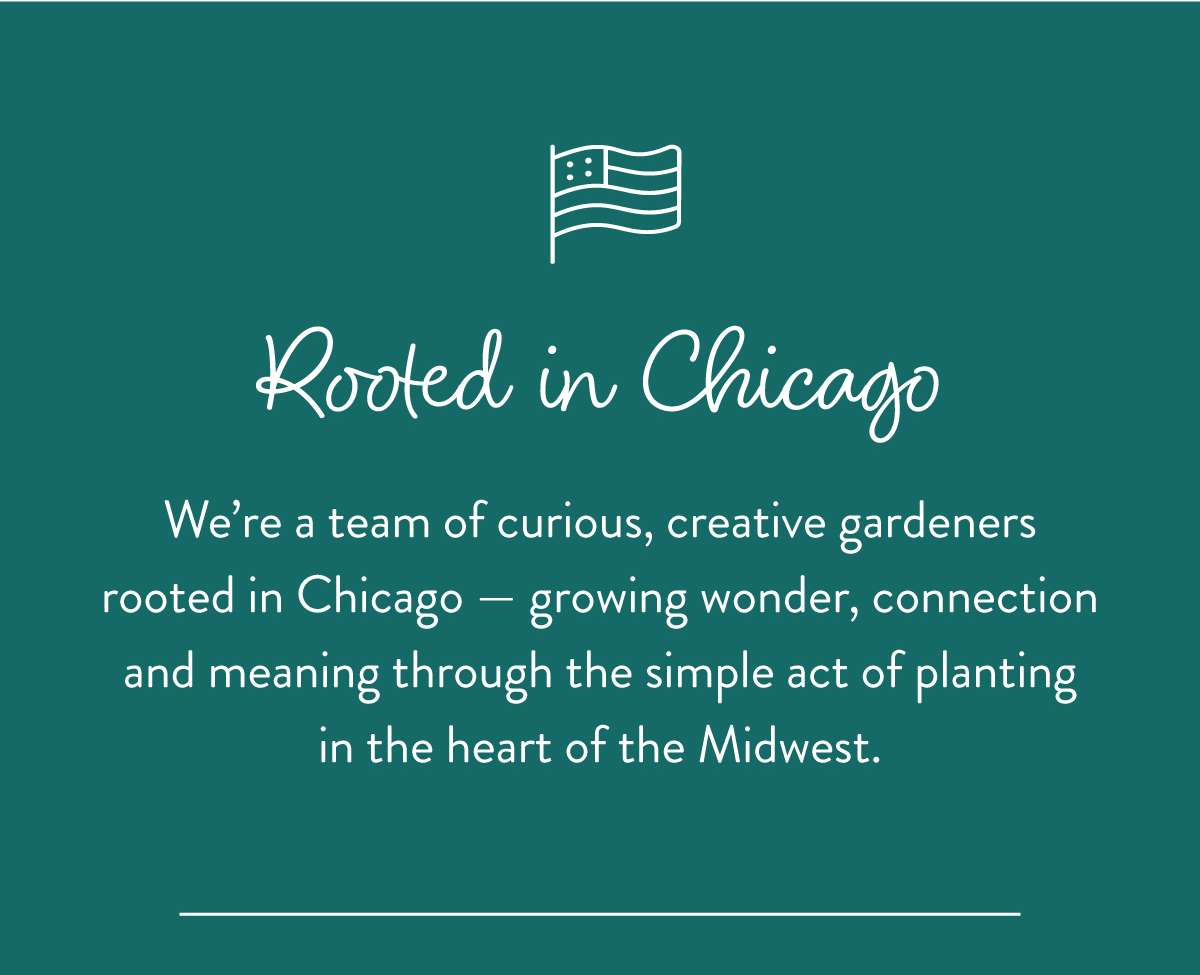 Rooted in Chicago: We’re a team of curious, creative gardeners rooted in Chicago — growing wonder, connection and meaning through the simple act of planting in the heart of the Midwest.
