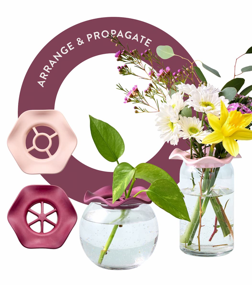 Arrange & Propagate: SHOP BOTANICAL KEEPERS >