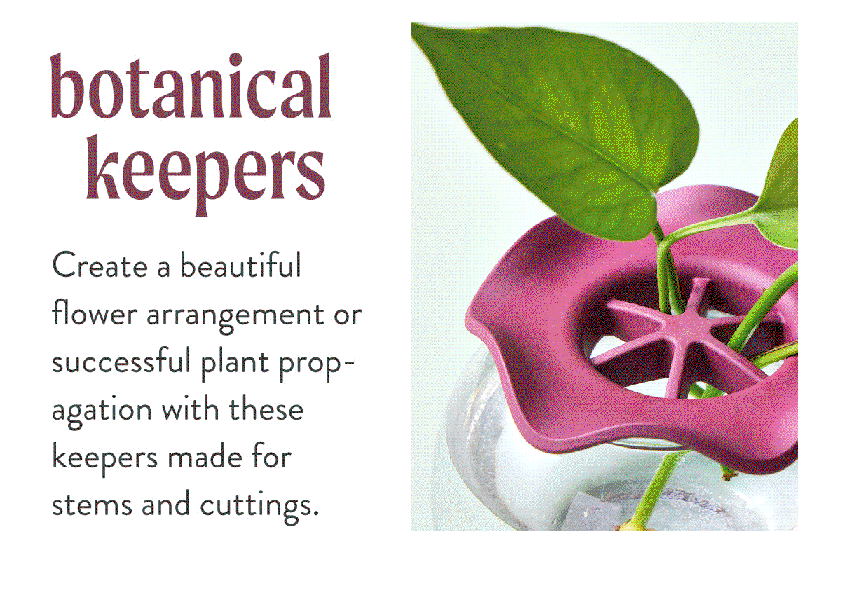 Botanical Keepers: Create a beautiful flower arrangement or successful plant propagation with these keepers made for stems and cuttings. SHOP BOTANICAL KEEPERS >