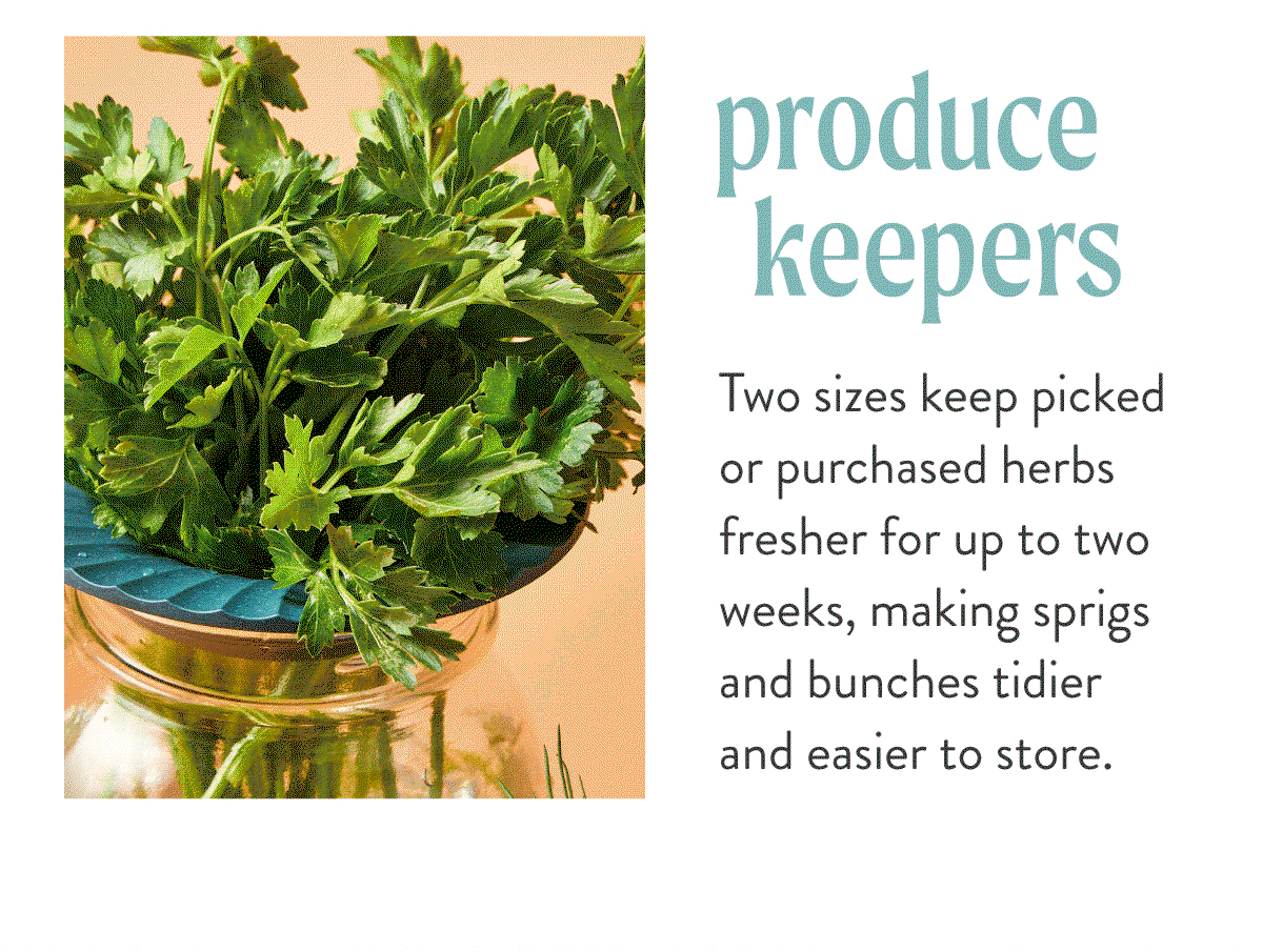 Produce Keepers: Two sizes keep picked or purchased herbs fresher for up to two weeks, making sprigs and bunches tidier and easier to store. SHOP PRODUCE KEEPERS >
