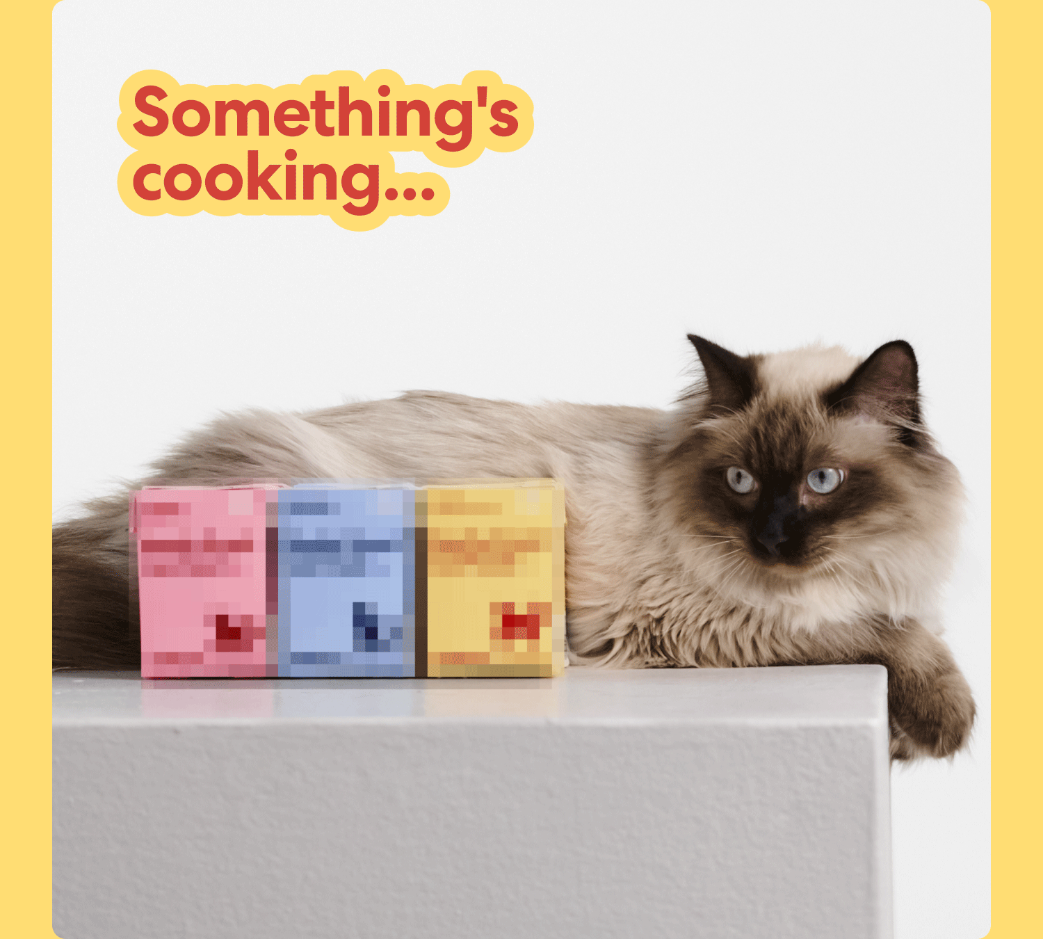 Really Great Cat Food is about to get really greater Sign up for SMS to get the news first.