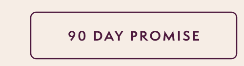 90 Day Promise