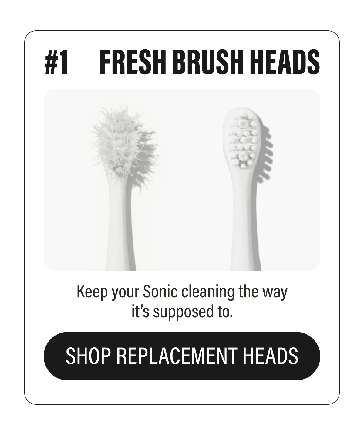 #1 FRESH BRUSH HEADS  Keep your Sonic cleaning the way it’s supposed to.  SHOP REPLACEMENT HEADS