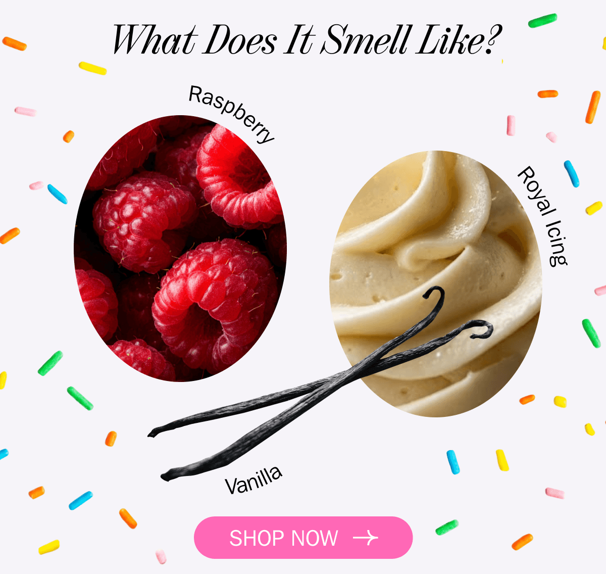 What Does It Smell Like? Raspberry - Royal Icing - Vanilla | SHOP NOW