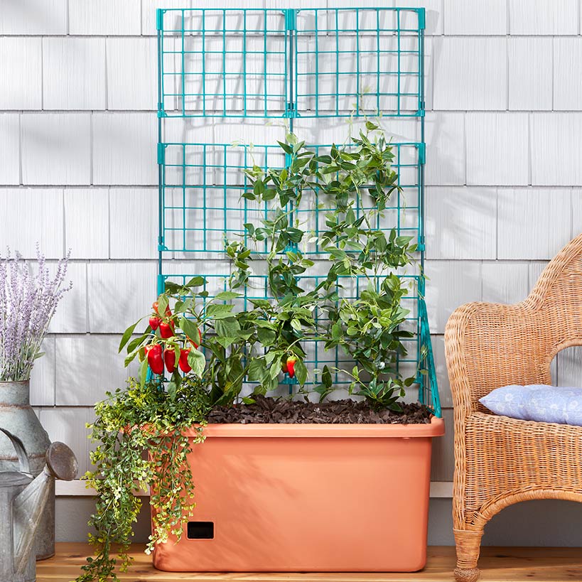 Image of Vegetable Planter With Wheels And Trellis - 58 Inch Self Watering