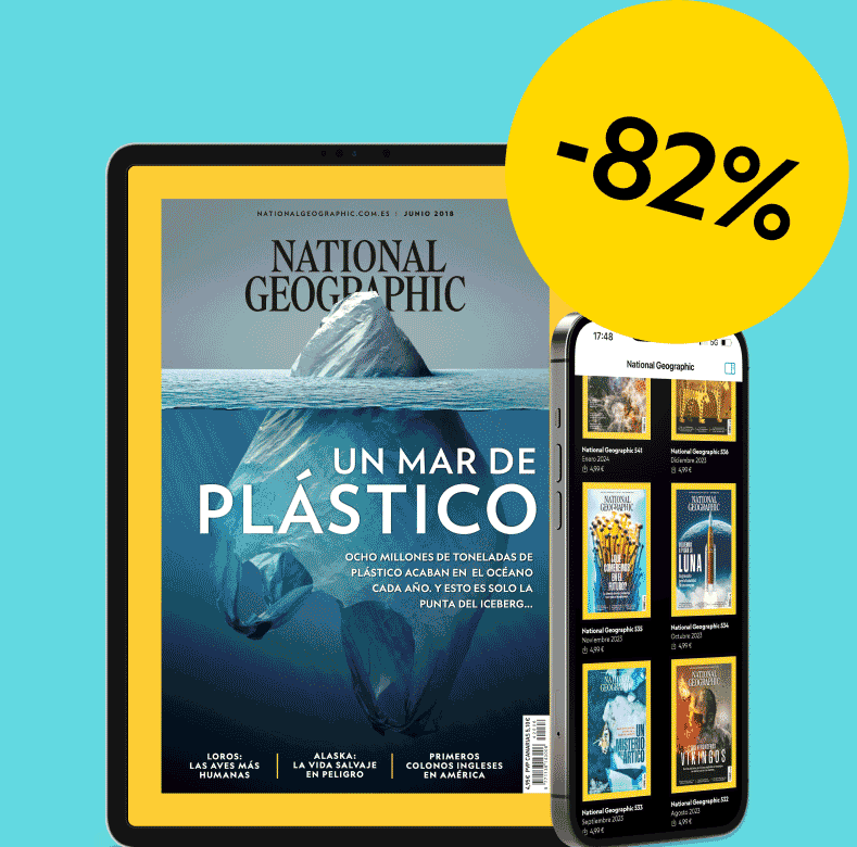 OFERTA VERANO