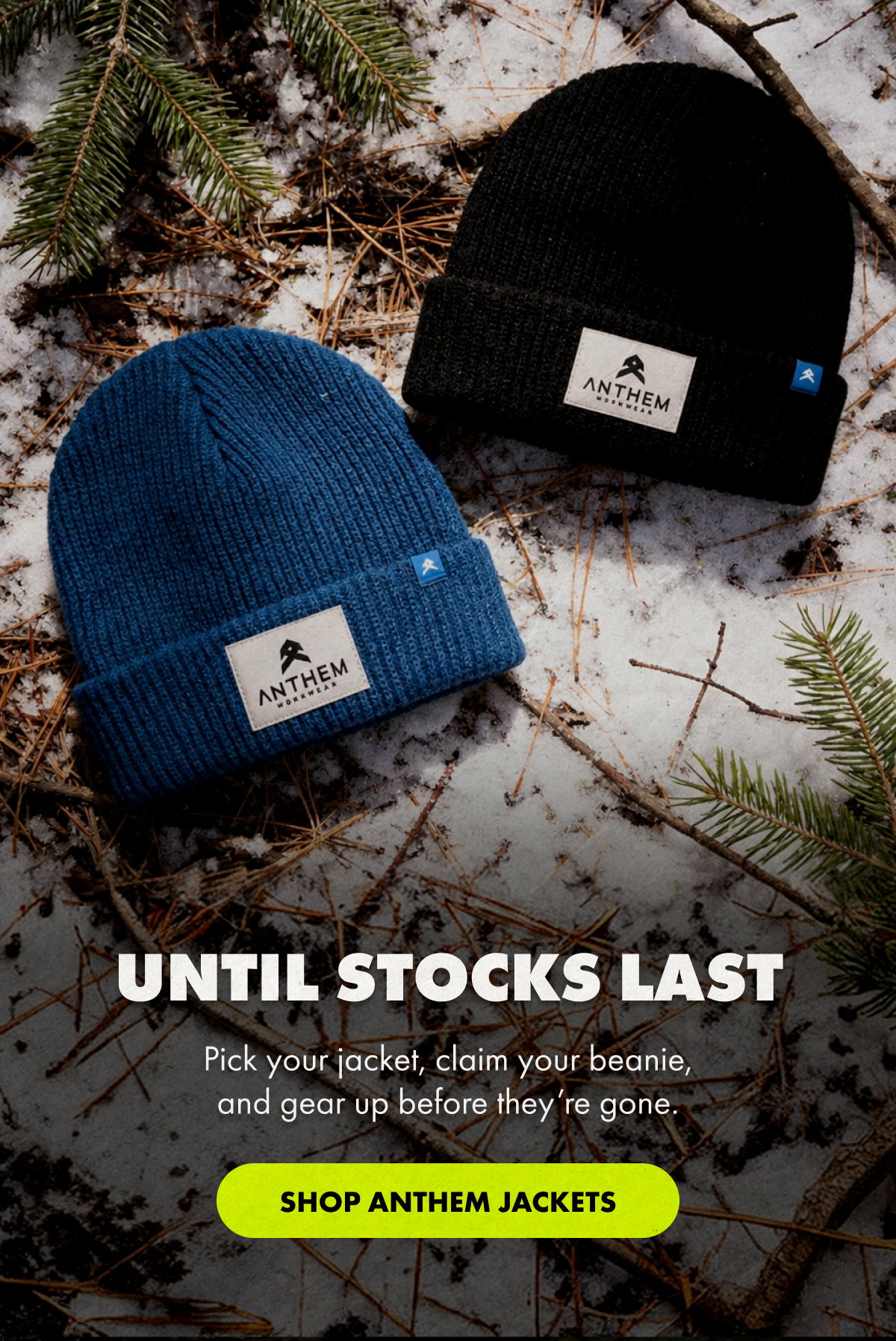 Until Stocks Last | SHOP ANTHEM JACKETS 