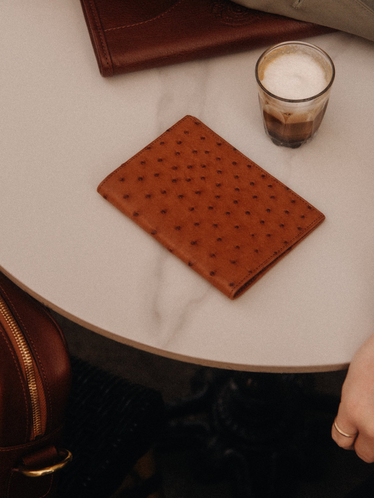 Ostrich Passport Case
