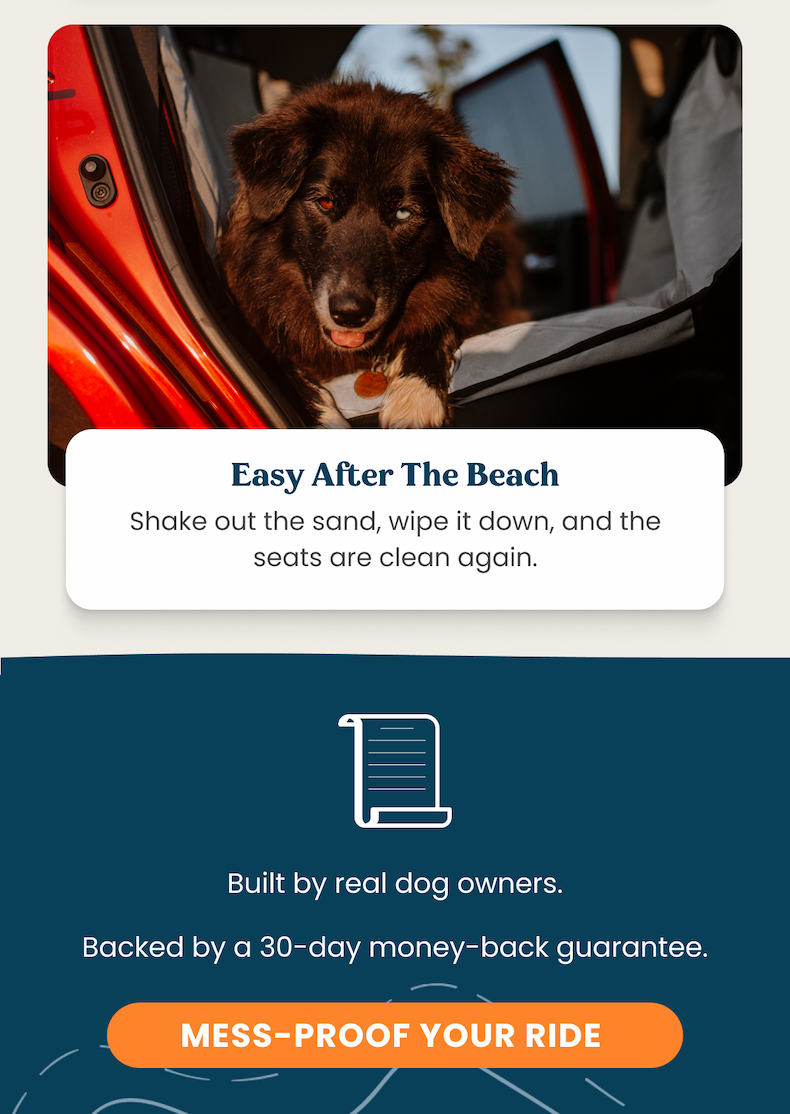 MESS-PROOF YOUR RIDE
