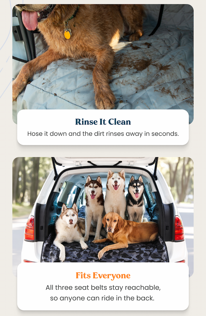 Rinse It Clean
