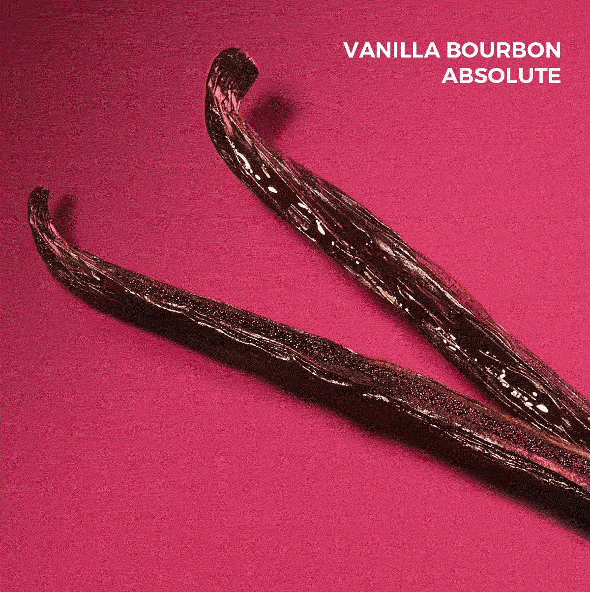 The new gourmand addiction gif