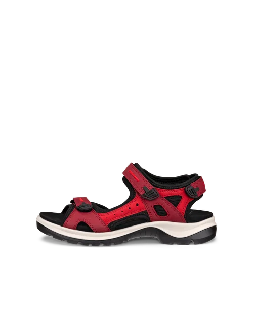 ECCO Offroad