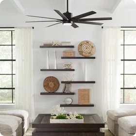 Ceiling Fans