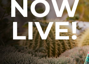New Styles And Further Reductions Now Live!