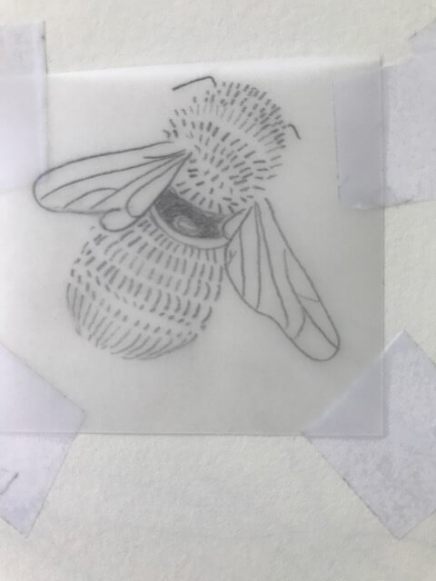Tracing the bees
