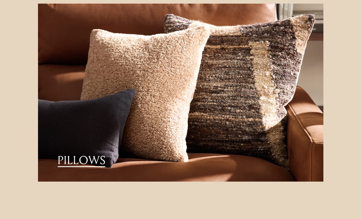 Shop Pillows