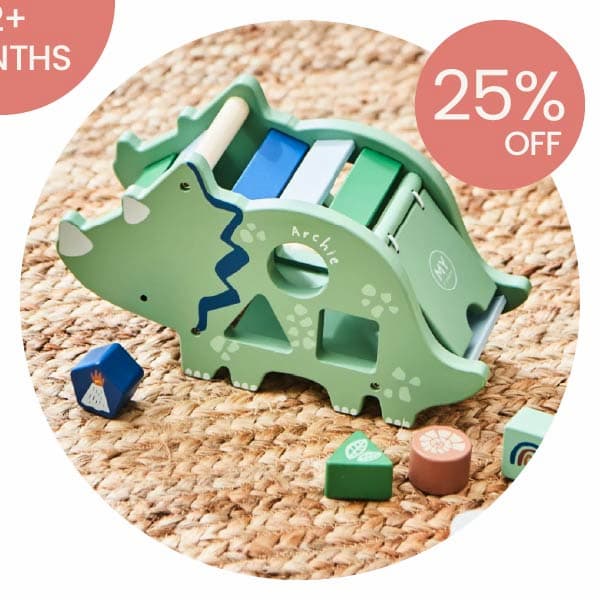 Personalised Dino Character Wooden Shape Sorter FSC®