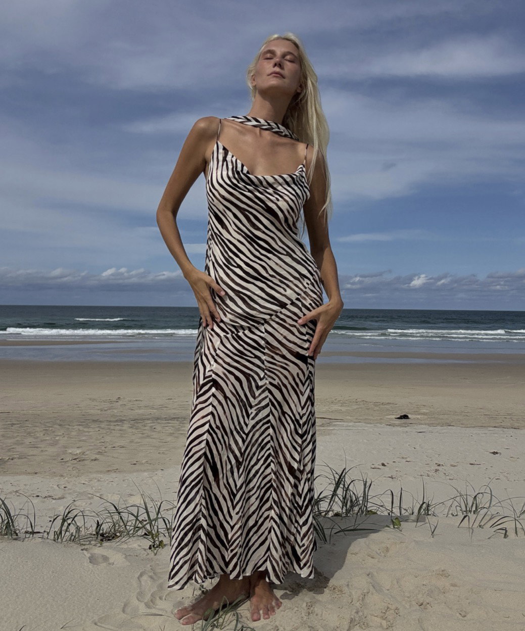 Gigi Zebra Maxi Dress