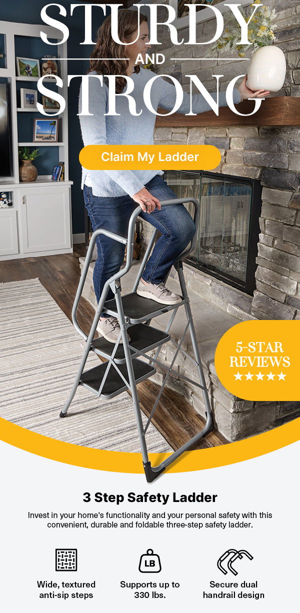 3 Step Safety Ladder