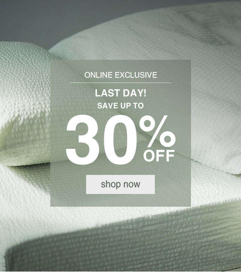 Last Day Save Up to 30% OFF 