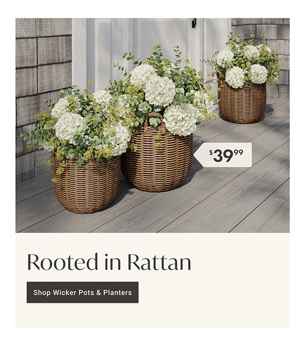 Rooted in Rattan: Shop Wicker Pots & Planters