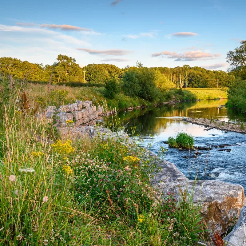 River Wear, Durham