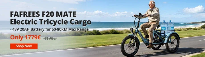 FAFREES F20 MATE Electric Tricycle Cargo