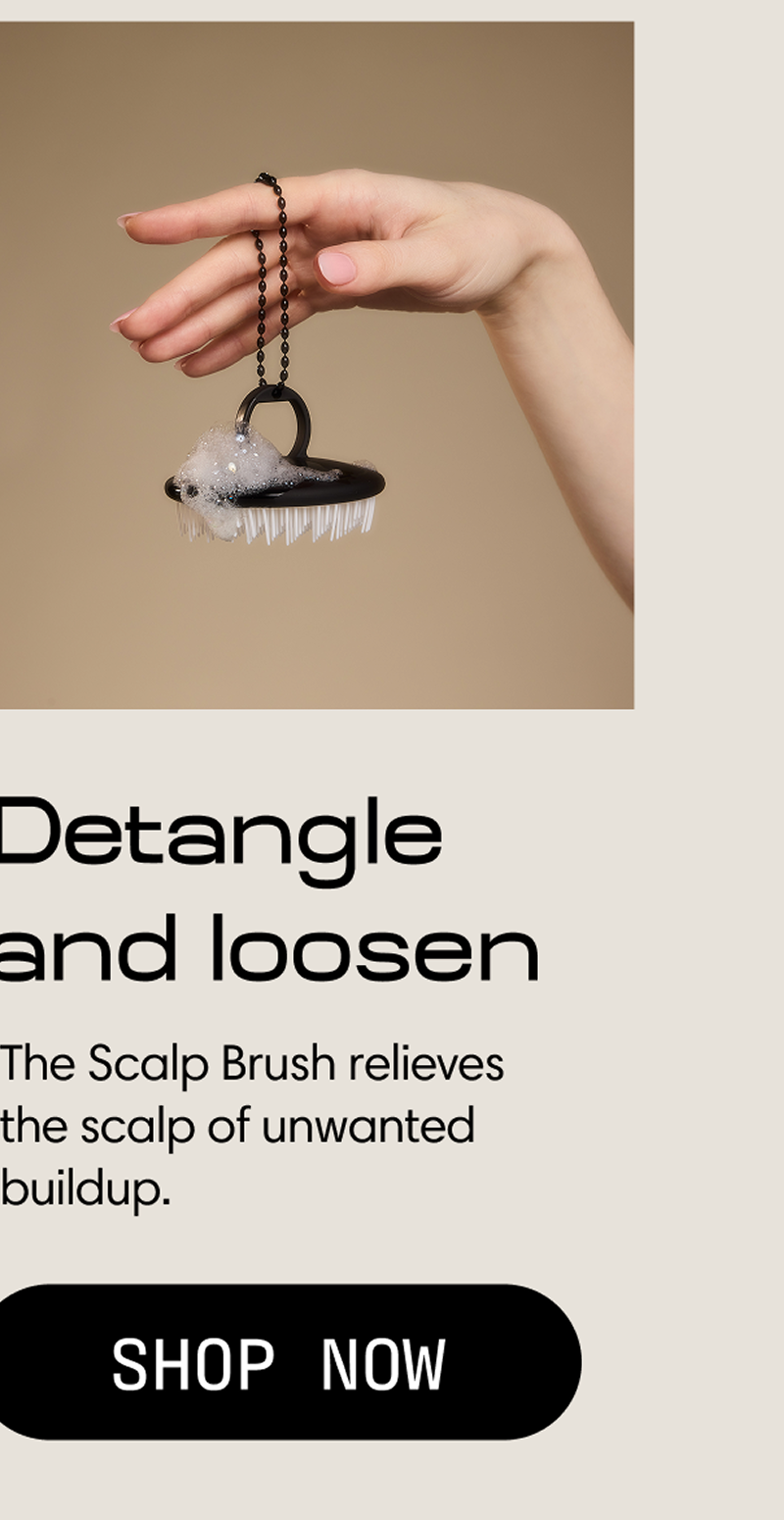 The Scalp Brush
