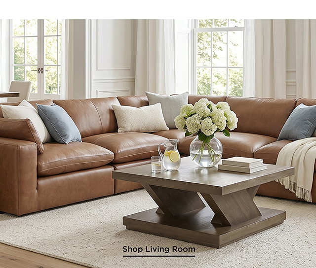 Shop Living Room
