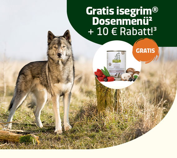 versandkostenfrei bestellen