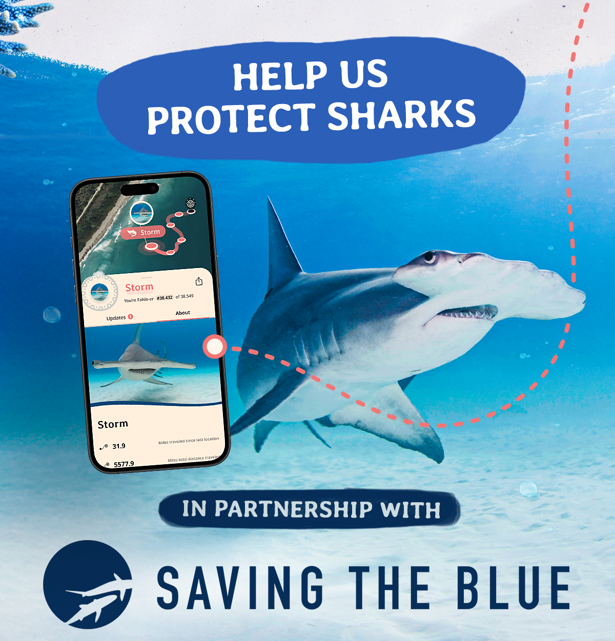 Don't let the hammerhead plush swim away. Shop now and track a real hammerhead in the wild while supporting Saving the Blue and their mission to protect sharks.