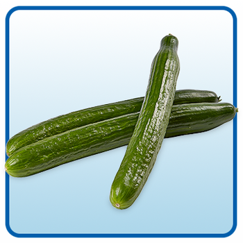 Organic Long English Cucumbers, Greenhouse Grown, 3-Count