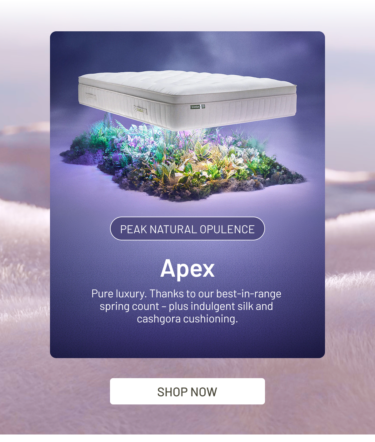 Apex