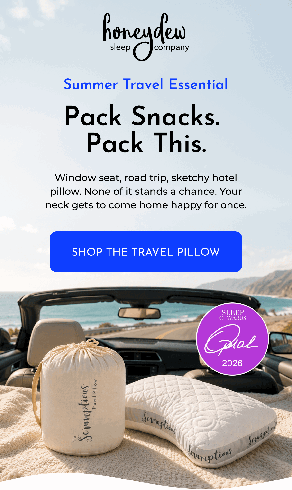 Summer Travel Essential Pack Snack. Pack This. | SHOP THE TRAVEL PILLOW