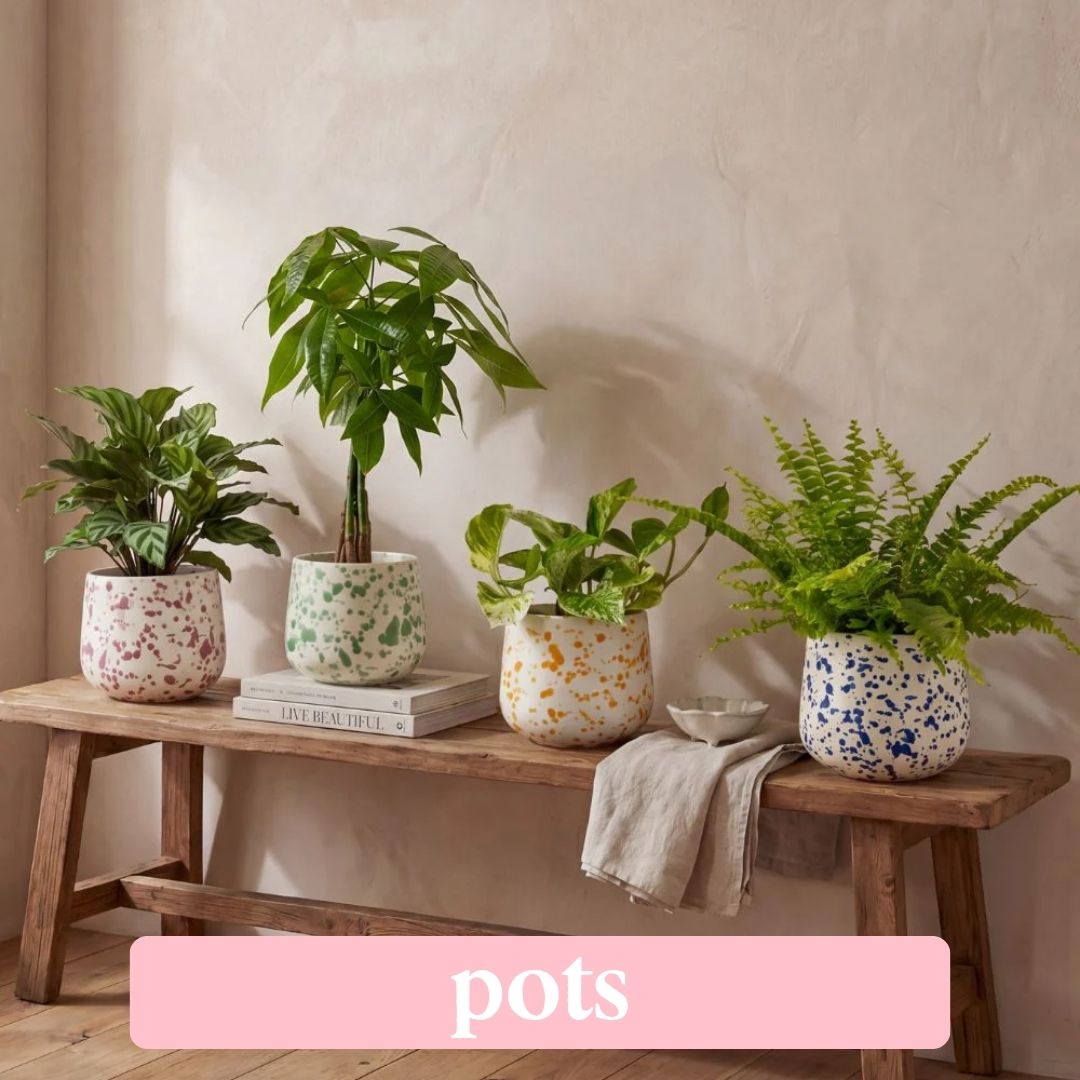 pots