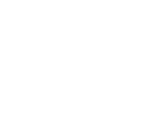 BH tree loaded in a delivery truck