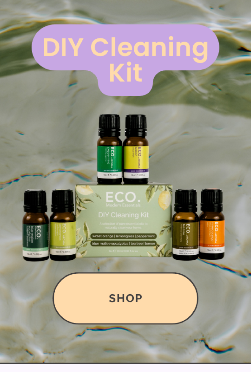diy cleaning kit