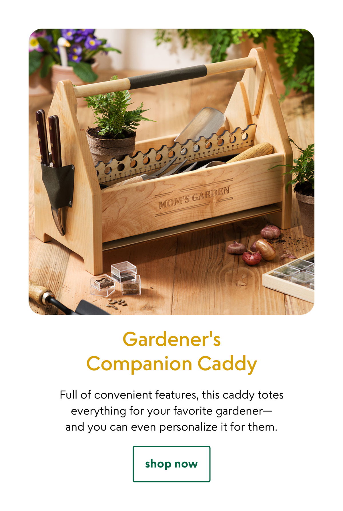 gardeners-companion-caddy